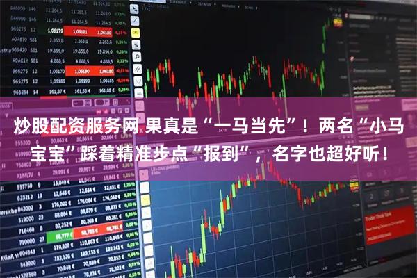 炒股配资服务网 果真是“一马当先”！两名“小马宝宝”踩着精准步点“报到”，名字也超好听！